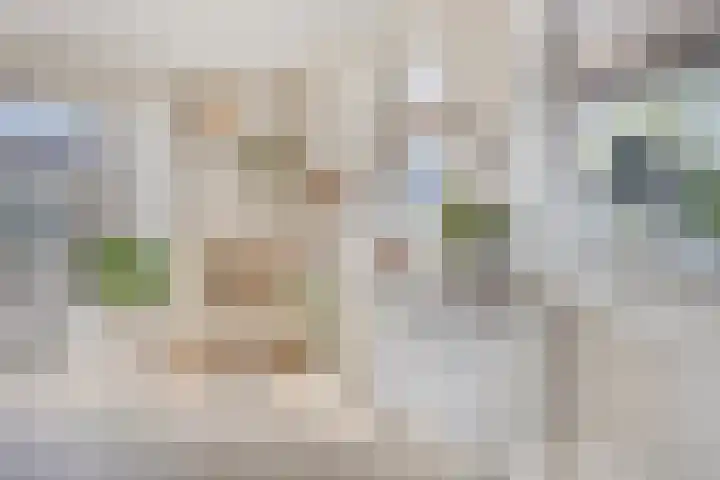 Soetelaer 21 Kortgene thumbnail 16