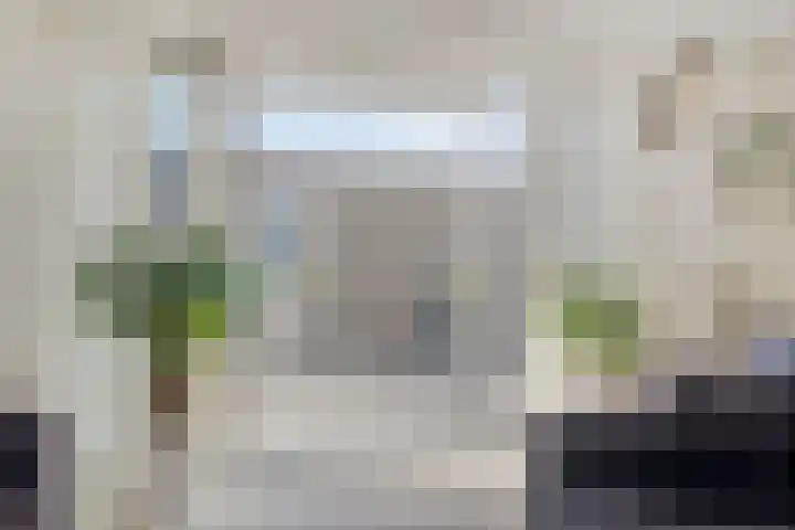 Soetelaer 21 Kortgene thumbnail 17