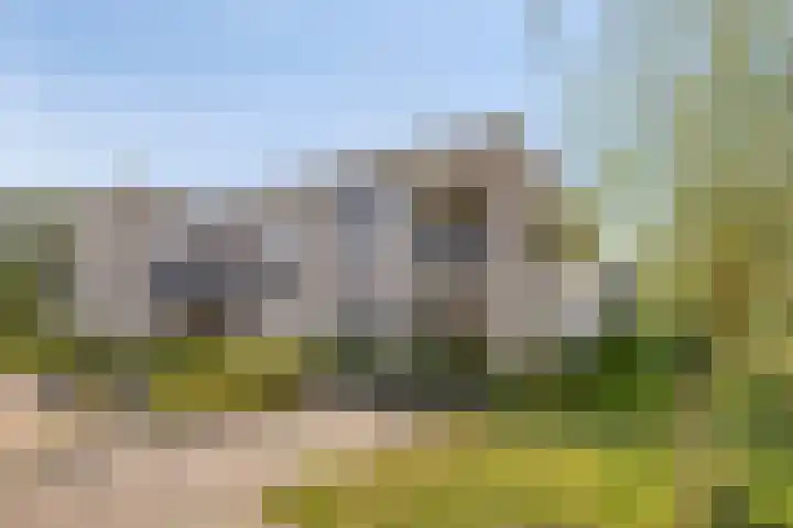 Soetelaer 21 Kortgene foto 2