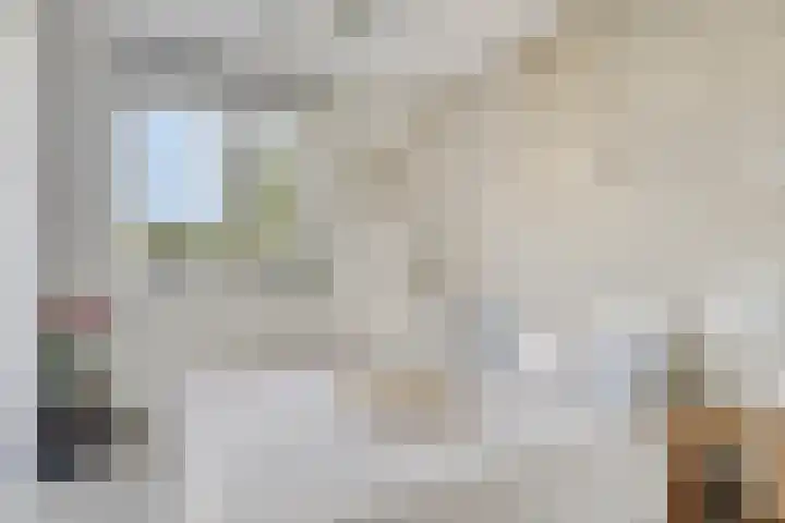 Soetelaer 21 Kortgene thumbnail 23