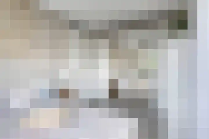 Soetelaer 21 Kortgene thumbnail 24