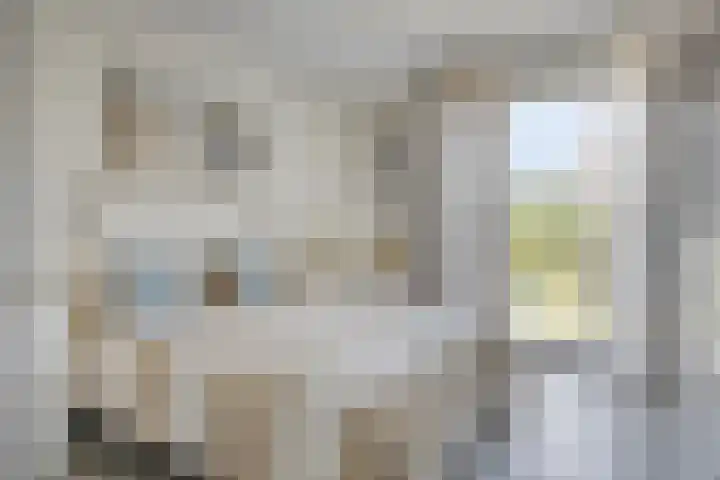 Soetelaer 21 Kortgene thumbnail 26