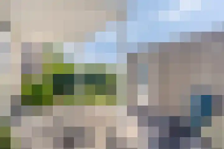 Soetelaer 21 Kortgene thumbnail 30
