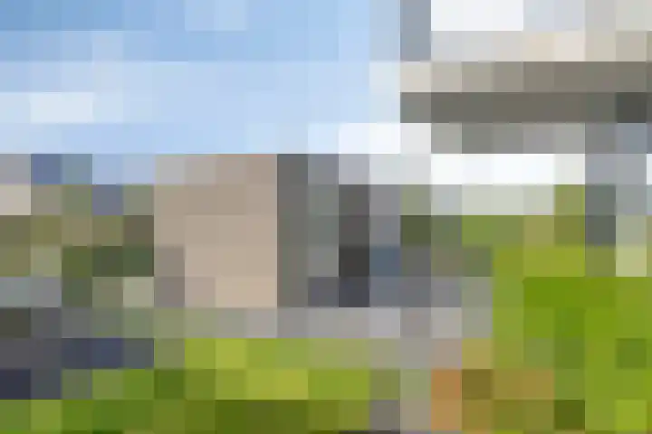 Soetelaer 21 Kortgene thumbnail 32