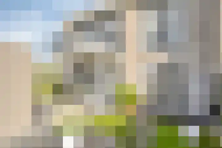 Soetelaer 21 Kortgene thumbnail 33