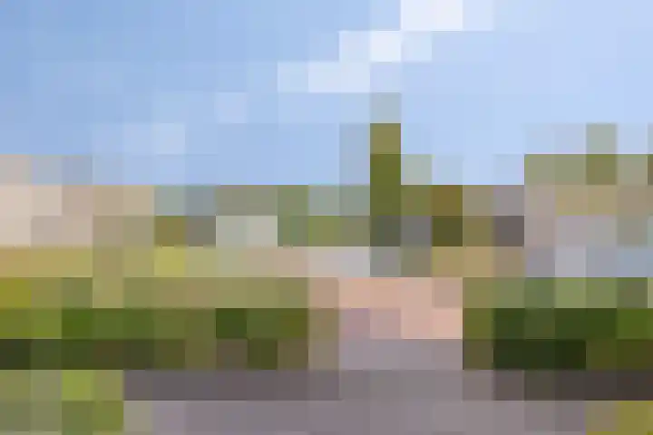 Soetelaer 21 Kortgene thumbnail 35