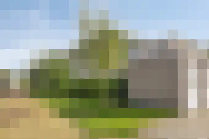 Soetelaer 21 Kortgene thumbnail 5