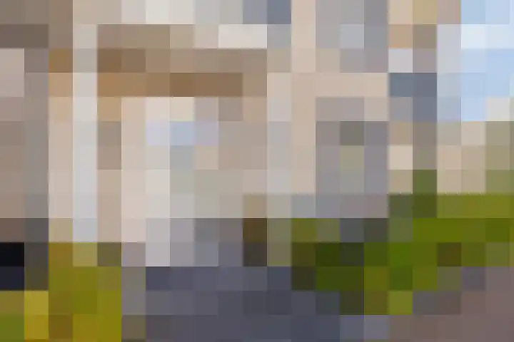 Soetelaer 21 Kortgene thumbnail 6