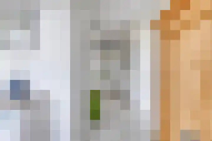 Soetelaer 21 Kortgene thumbnail 7