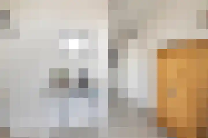 Soetelaer 21 Kortgene thumbnail 8