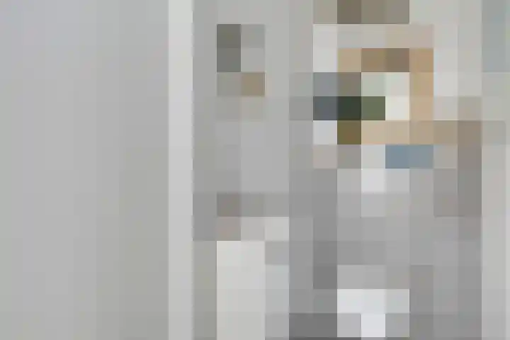Soetelaer 21 Kortgene thumbnail 9