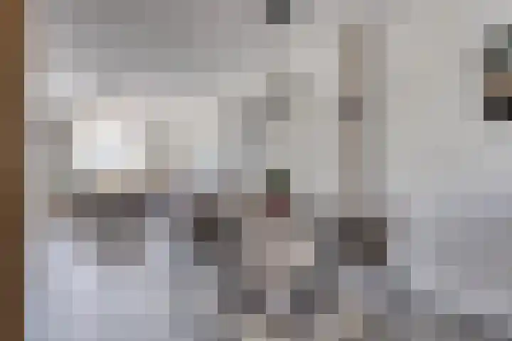 Soetelaer 22 Kortgene thumbnail 10
