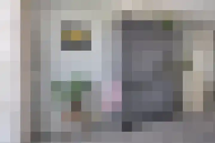 Soetelaer 22 Kortgene thumbnail 14