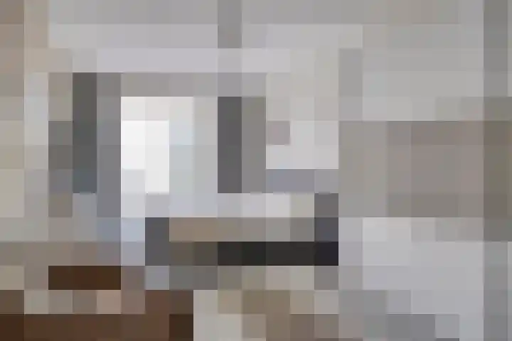 Soetelaer 22 Kortgene thumbnail 17