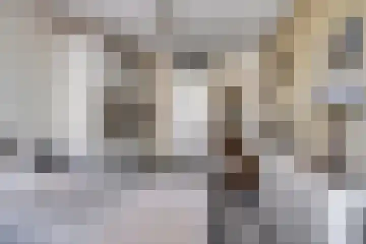 Soetelaer 22 Kortgene thumbnail 19