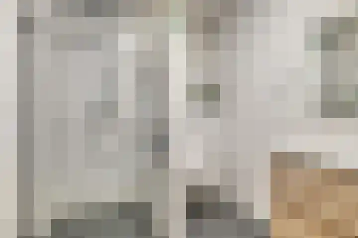 Soetelaer 22 Kortgene thumbnail 20
