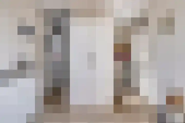 Soetelaer 22 Kortgene thumbnail 22