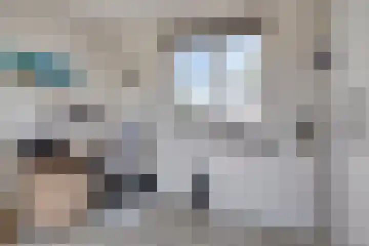Soetelaer 22 Kortgene thumbnail 24