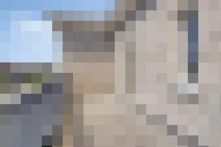 Soetelaer 22 Kortgene thumbnail 27