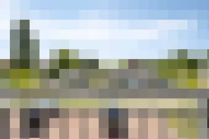 Soetelaer 22 Kortgene thumbnail 28