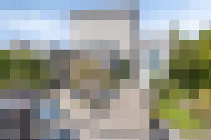 Soetelaer 22 Kortgene thumbnail 30