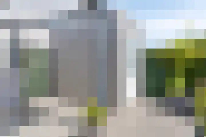 Soetelaer 22 Kortgene thumbnail 34