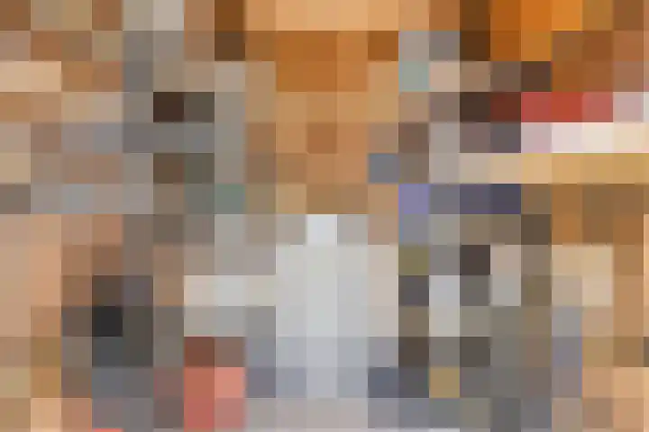 Soetelaer 22 Kortgene thumbnail 36