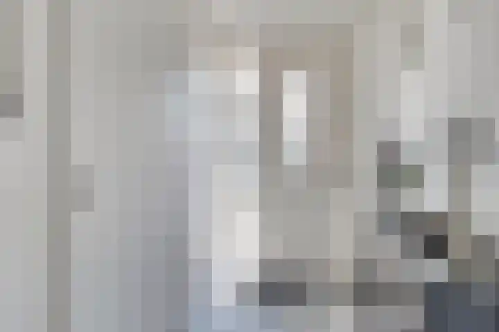 Soetelaer 22 Kortgene thumbnail 4