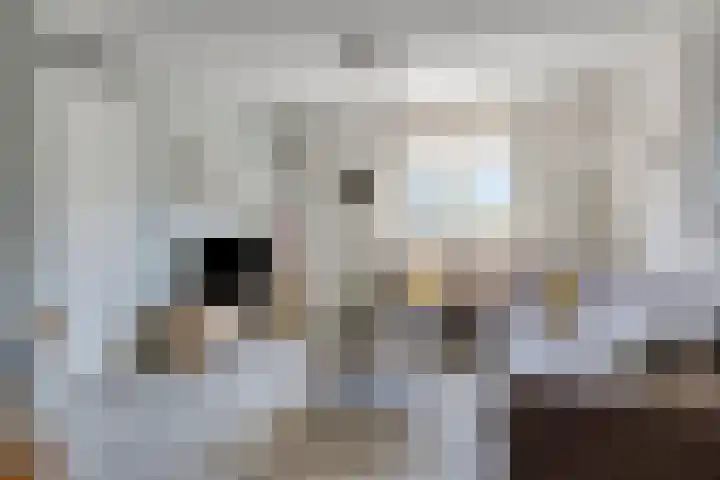 Soetelaer 22 Kortgene thumbnail 6