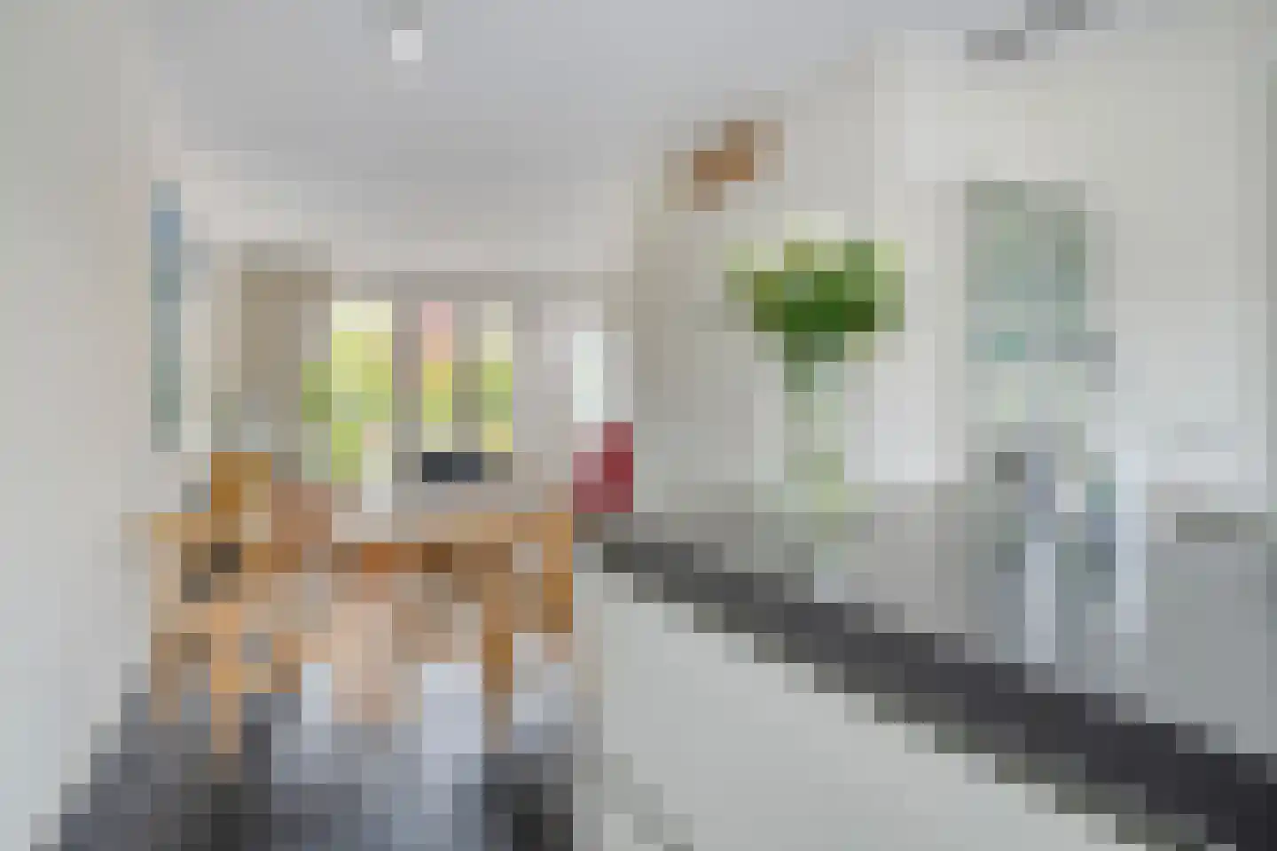Soetelaer 33 Kortgene thumbnail 13