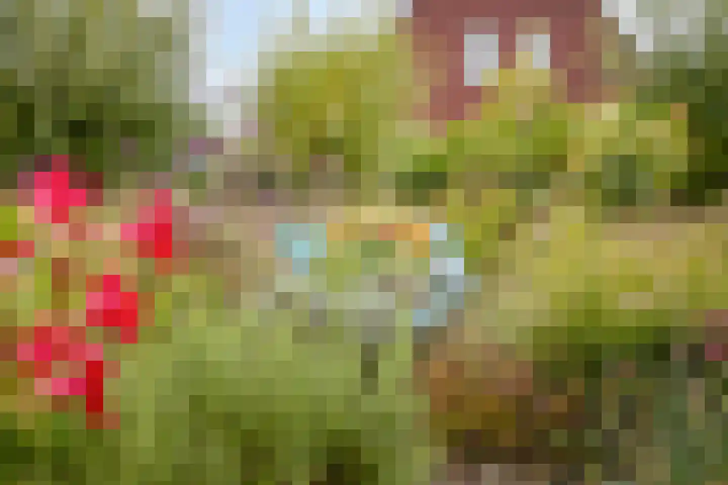 Soetelaer 33 Kortgene thumbnail 28