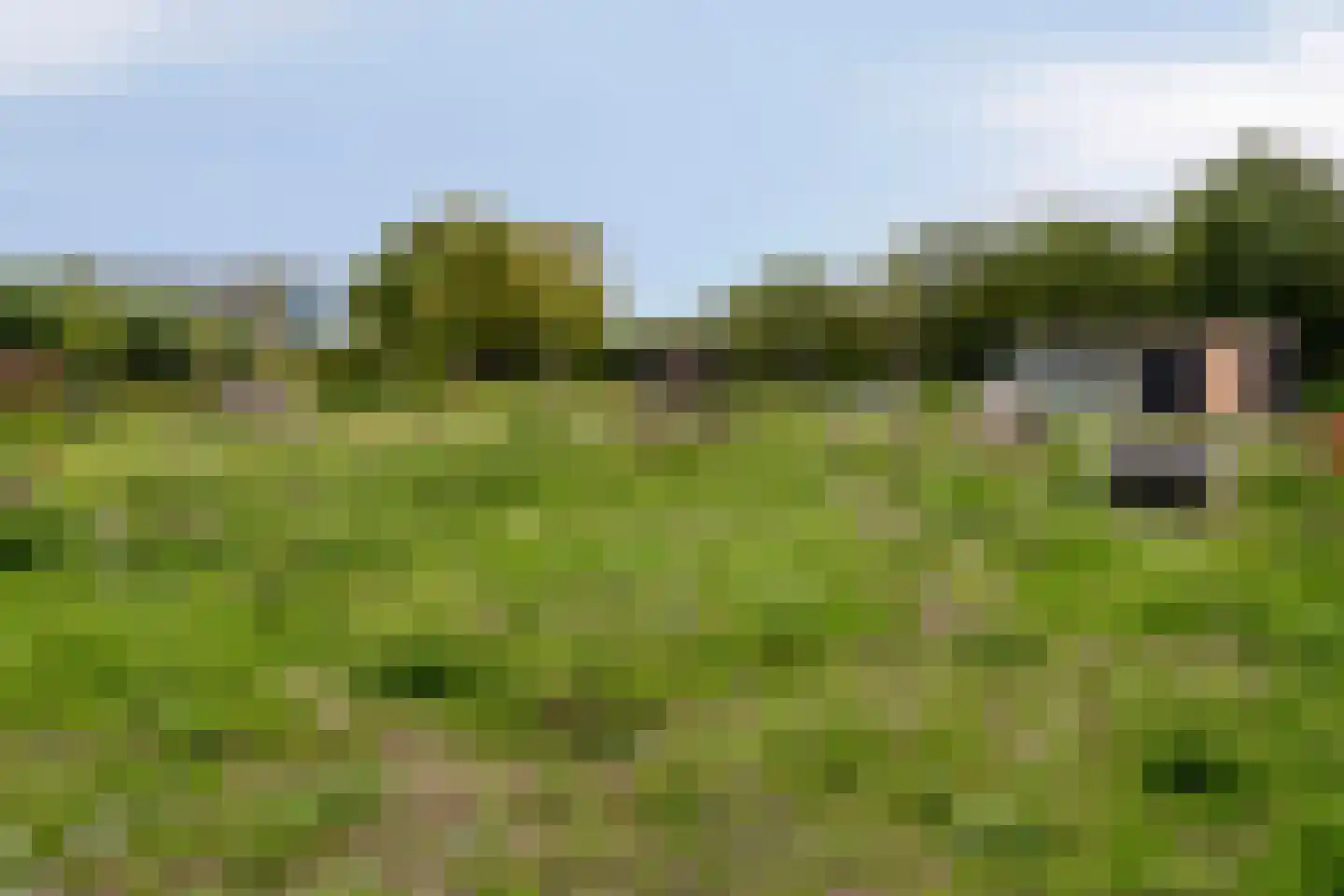 Soetelaer 33 Kortgene thumbnail 36