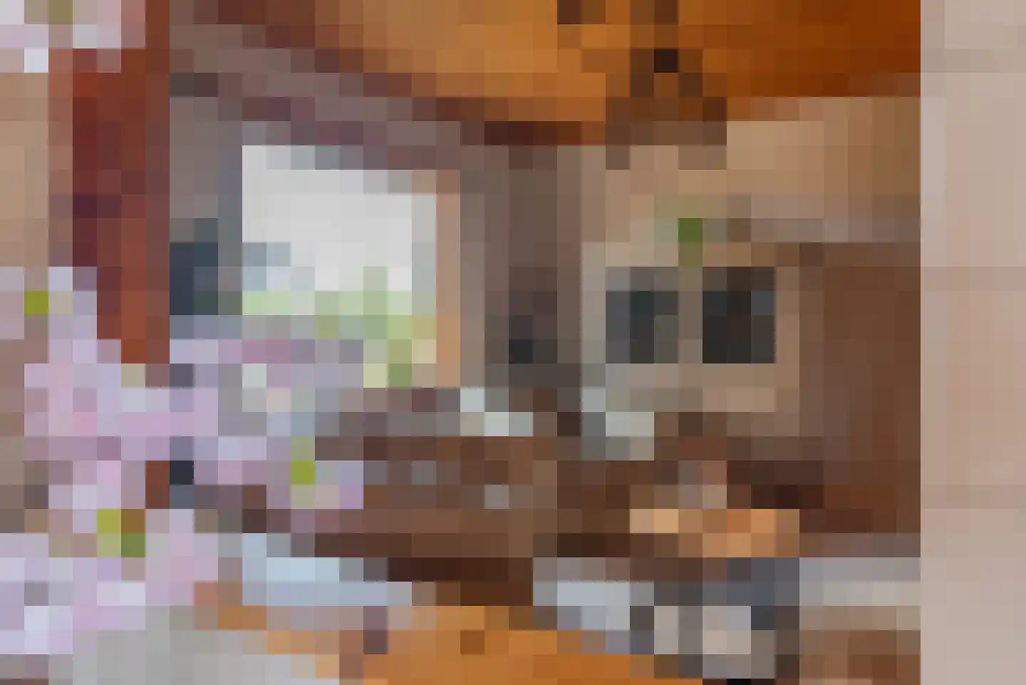 Soetelaer 7 Kortgene thumbnail 15