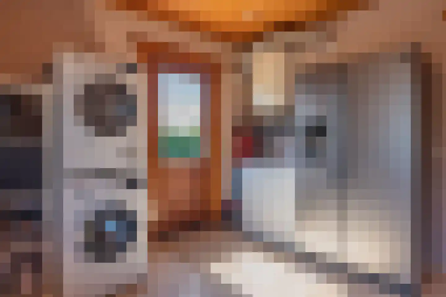 Soetelaer 7 Kortgene thumbnail 21