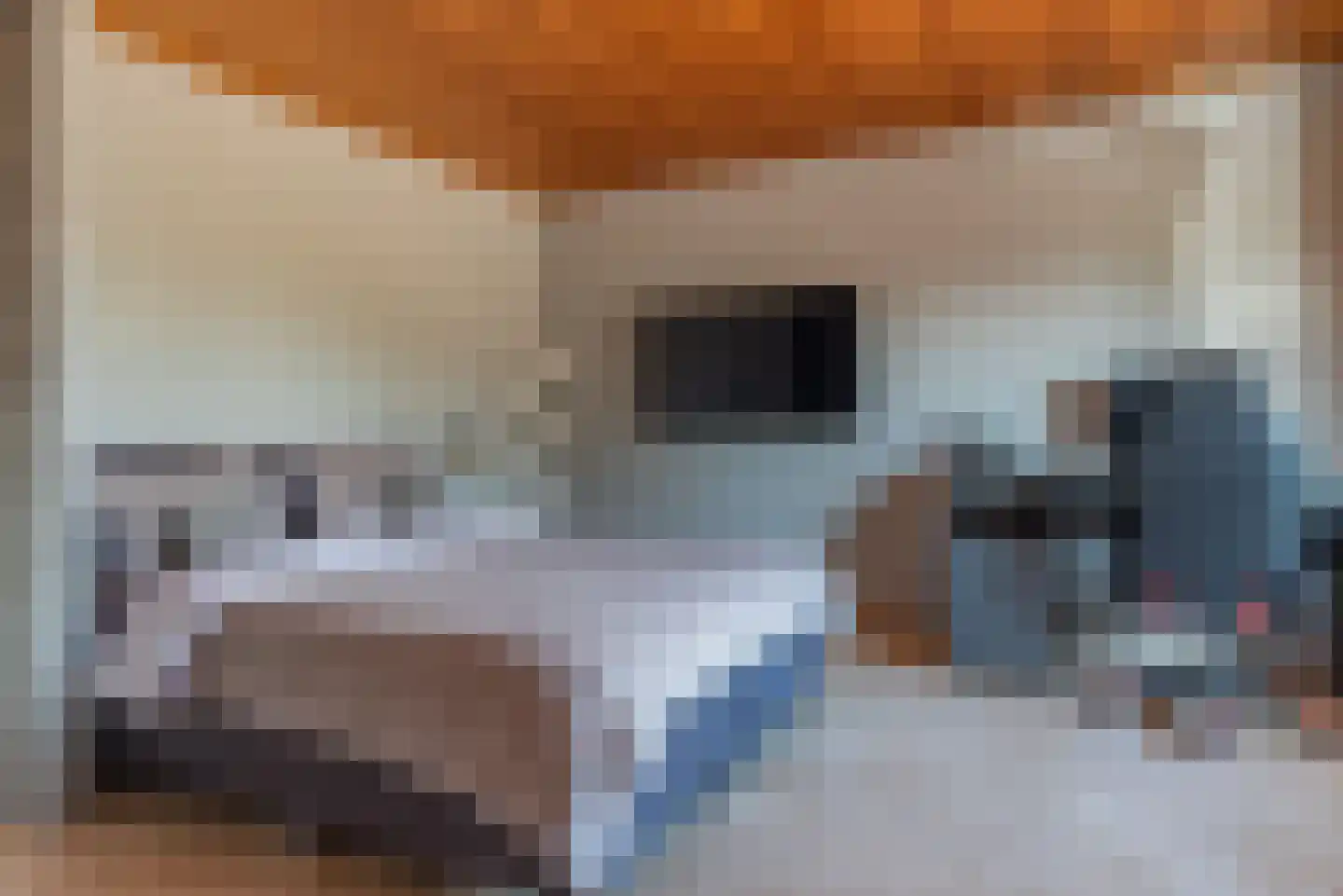 Soetelaer 7 Kortgene thumbnail 22