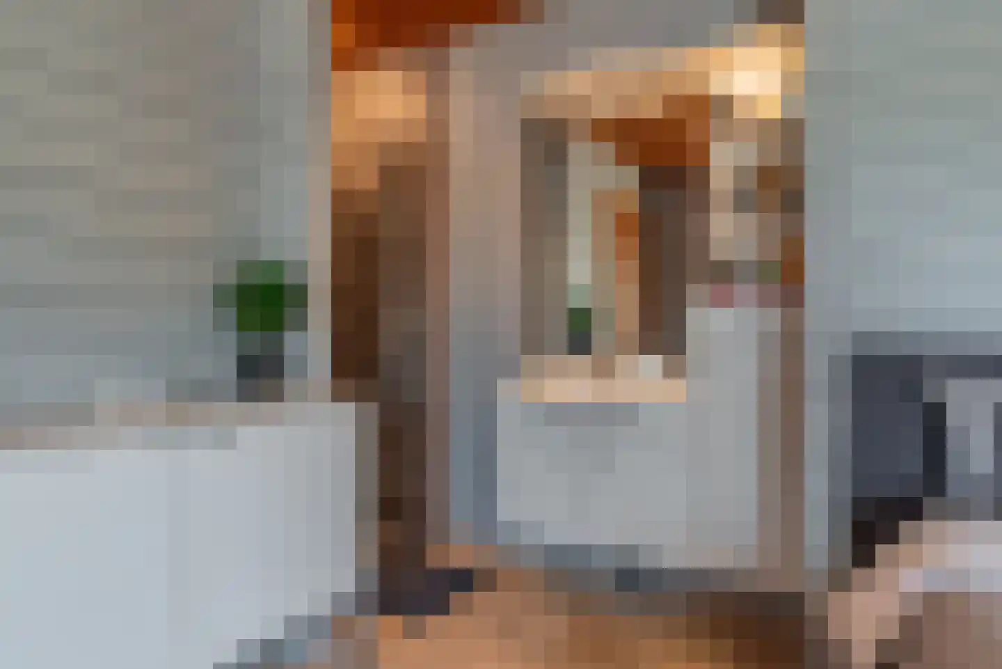 Soetelaer 7 Kortgene thumbnail 25