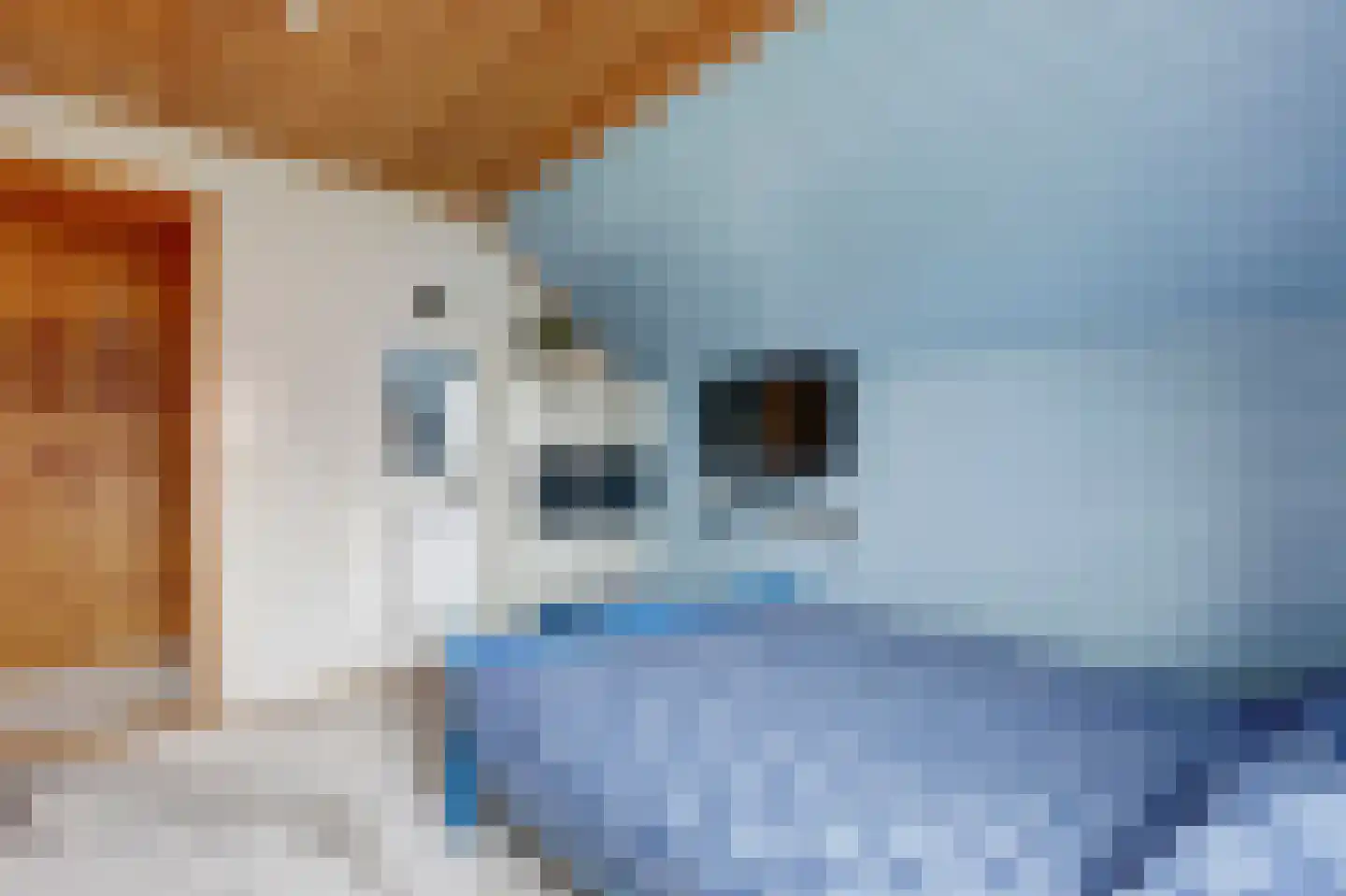Soetelaer 7 Kortgene thumbnail 29