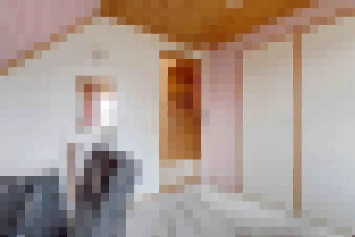 Soetelaer 7 Kortgene thumbnail 31