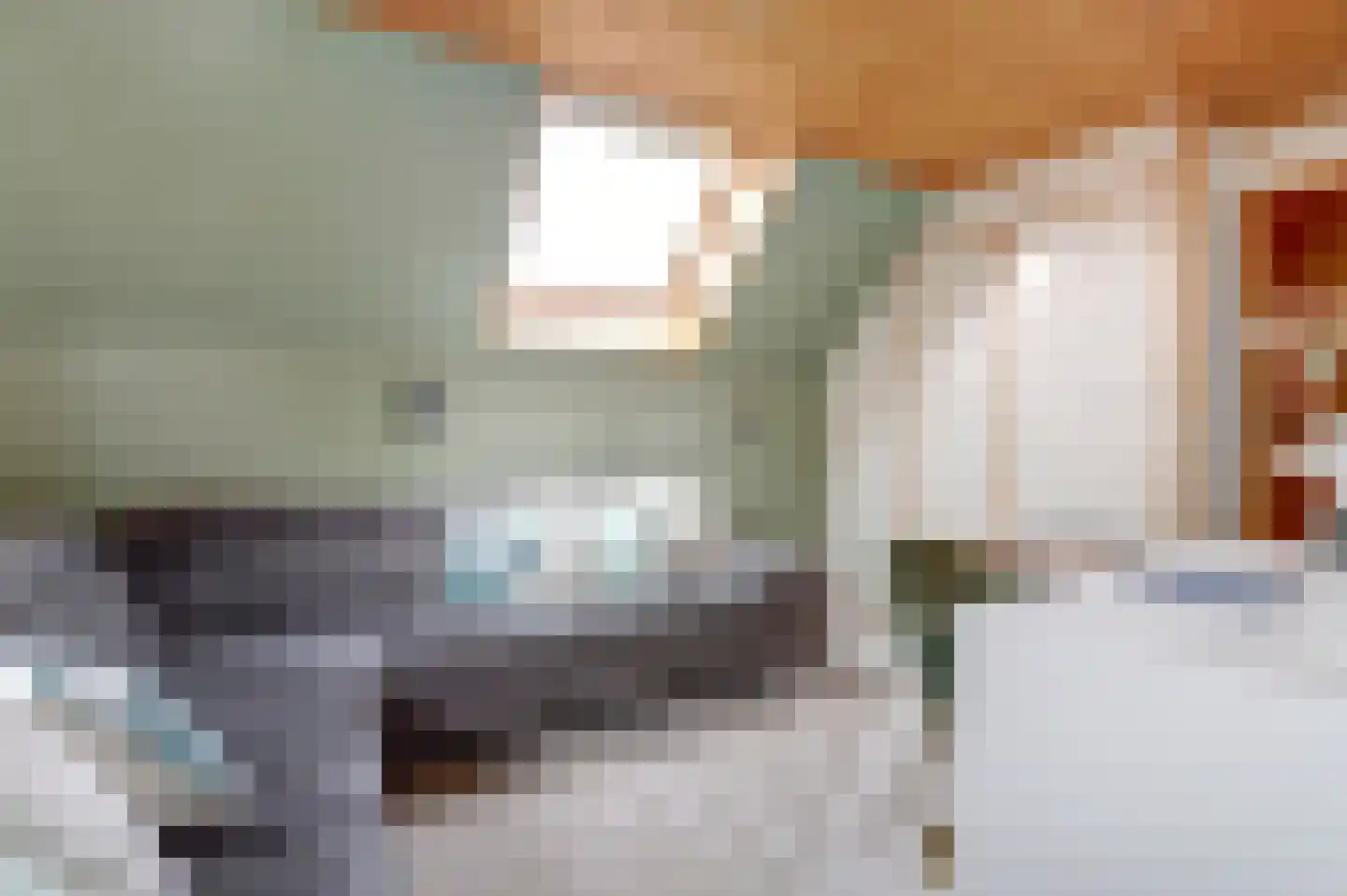 Soetelaer 7 Kortgene thumbnail 34