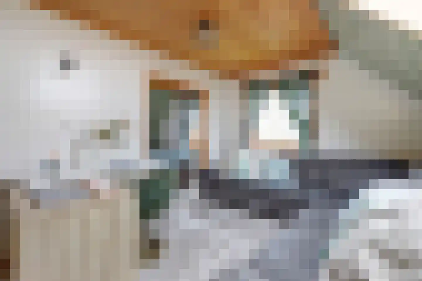Soetelaer 7 Kortgene thumbnail 35