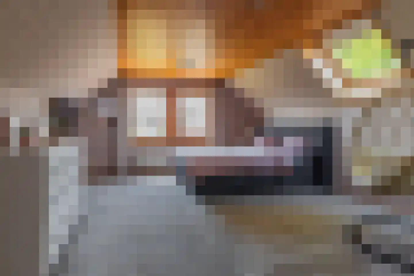 Soetelaer 7 Kortgene thumbnail 37