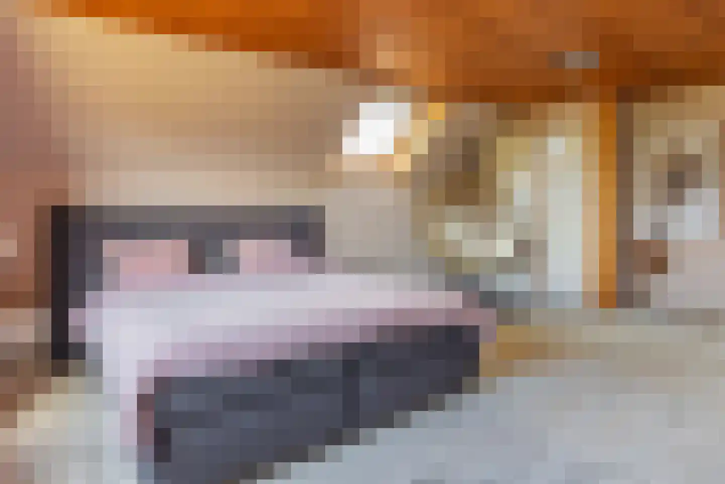 Soetelaer 7 Kortgene thumbnail 38