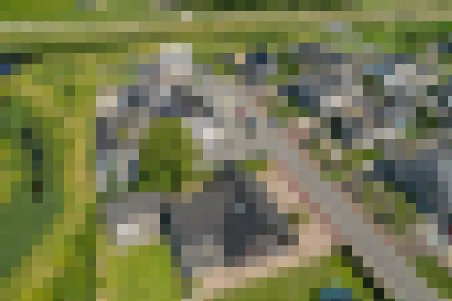 Soetelaer 7 Kortgene thumbnail 57