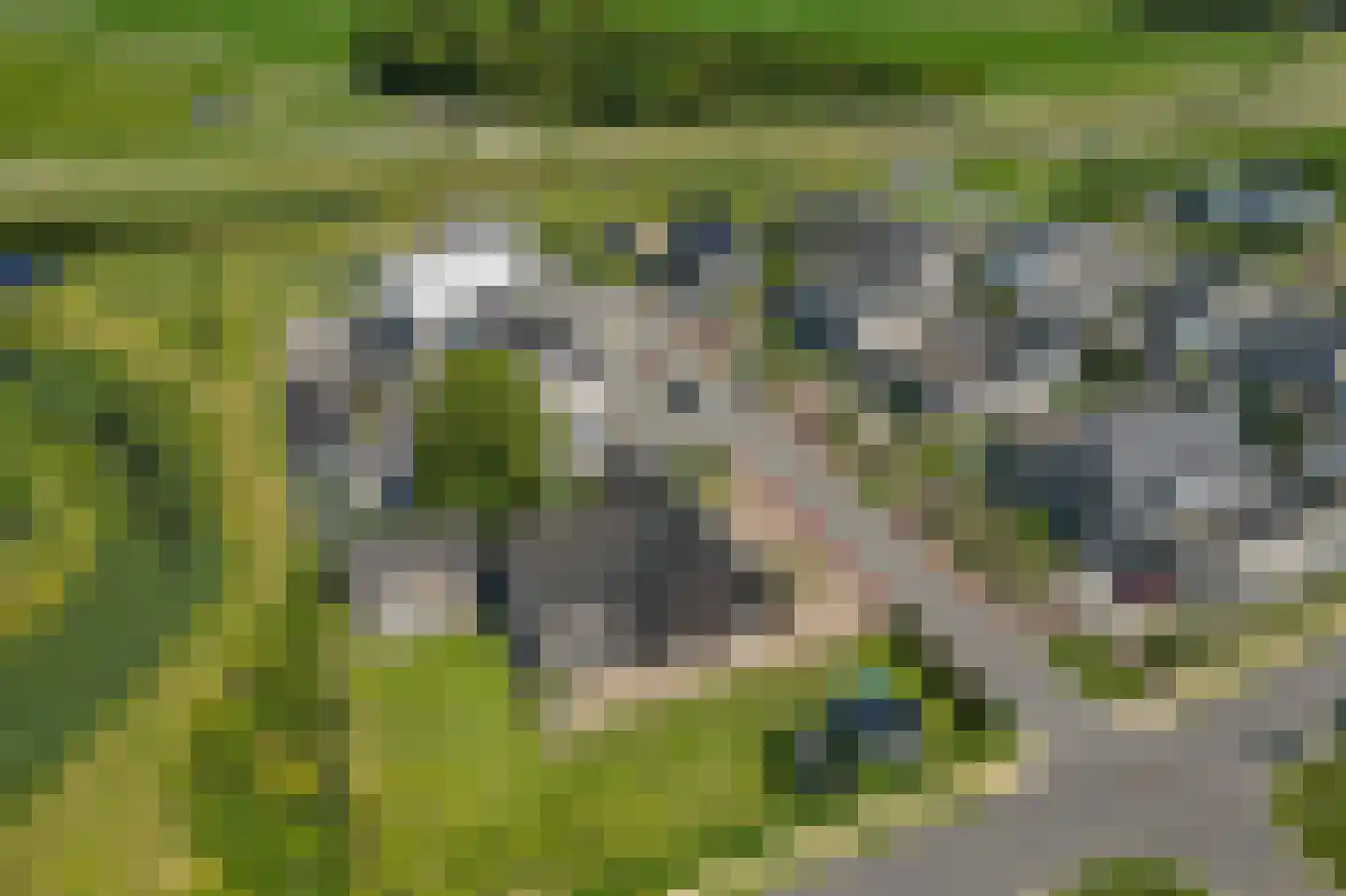 Soetelaer 7 Kortgene thumbnail 58