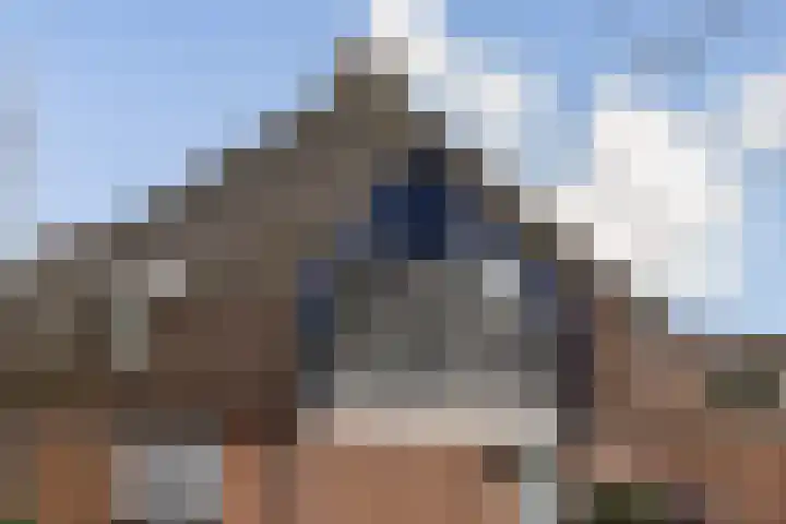 Soeteliefskamp 56 Hendrik-Ido-Ambacht thumbnail 14