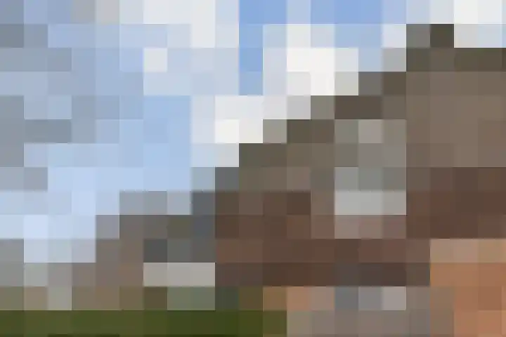 Soeteliefskamp 56 Hendrik-Ido-Ambacht thumbnail 15