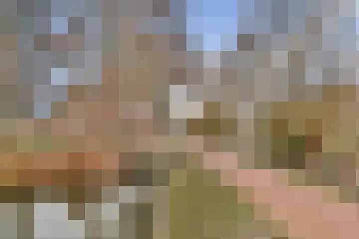 Soeteliefskamp 56 Hendrik-Ido-Ambacht thumbnail 17