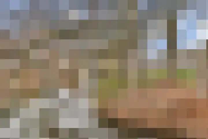 Soeteliefskamp 56 Hendrik-Ido-Ambacht thumbnail 18