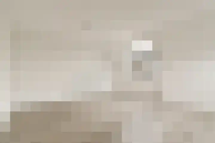 Soeteliefskamp 56 Hendrik-Ido-Ambacht thumbnail 6