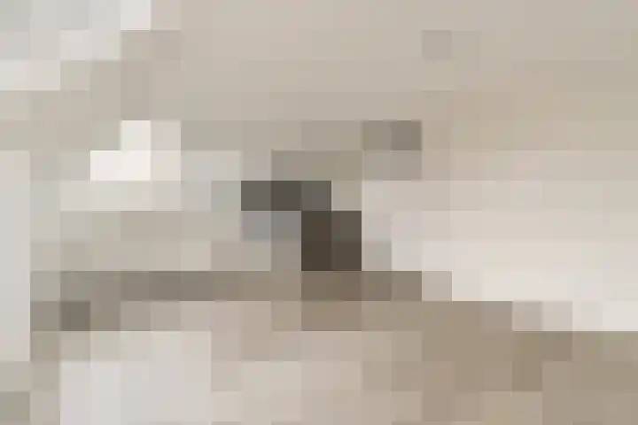 Soeteliefskamp 56 Hendrik-Ido-Ambacht thumbnail 7